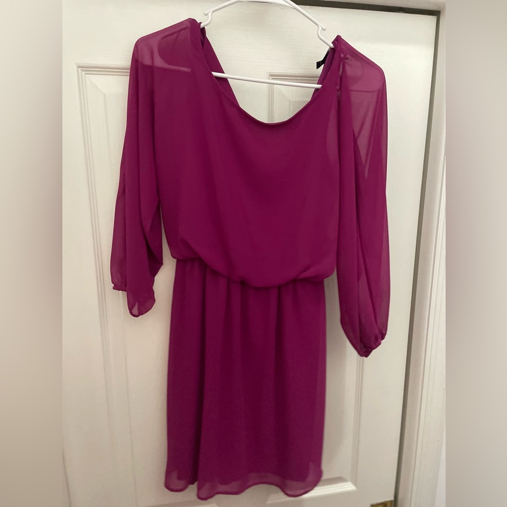Express dress with sheer sleeves